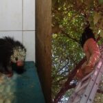 Flamazo en restaurante del Centro deja un lesionado