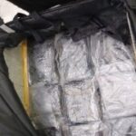 Rescatan a 9 perritos en condiciones deplorables en la Gustavo A. Madero