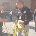 Muere “Zeus” uno de los gatitos que vivía en Palacio Nacional