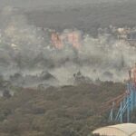 Denuncian a Morena por intimidar y amenazar a fundación en Coyoacán