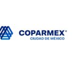 Encabeza Doralicia Martínez preferencias electorales en Huautla, Hidalgo