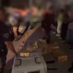 Hallan ejemplar de “pez terremoto” en el Mar de Cortés, BCS