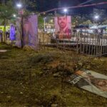Rescatan a 13 perritos y un gatito abandonados en domicilio de Tecámac