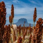 Plantean que programas de educación alimentaria y nutricional de la SEP estén dirigidos a todas las niñas y niños