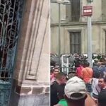 Exigen justicia para Moni, perrita hallada enterrada en jardín de vecina en Coyoacán