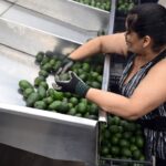 Expertos en Ecomm Connect concuerdan: la experiencia del cliente es el pilar del crecimiento