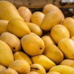 Suspensión de aguacate michoacano por EUA es una “medida unilateral”, afirma AMLO