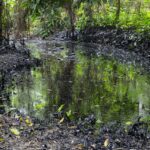 Ojo del huracán ‘Milton’ tocará Yucatán: 50 municipios, sin clases