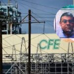 Profepa denuncia ante la FGR sacrificio de un jaguar en Guerrero
