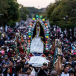 Presentan resultados de iniciativa sustentable que potencializa la Cafeticultura mexicana