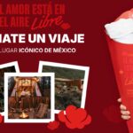 Hallan ballena muerta en Nautla, Veracruz: investigan causas y riesgo ambiental