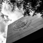 Partido Verde impulsa reforma para proteger a víctimas de violencia familiar
