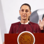 Sujeto arroja piedra sobre perrito ‘Huesitos’ mientras dormía en Puebla