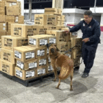 Caída de atletas en silla de ruedas en el Maratón de la CDMX desata críticas por baches