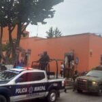 Partido Verde mueve sus piezas en Quintana Roo: Mercado y Segura perfilan para 2027
