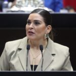 Impulsan reforma para aumentar sanciones penales contra la tala ilegal