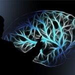 Wellbeing 360: Organizaciones con Propósito de Tecmilenio reunió a líderes del propósito y el bienestar