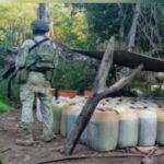 Luto en Tailandia: fallece la reina madre a los 93 años, tras padecer una infección en la sangre