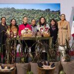 Se han destinado más de 7 mil 426 mdp en apoyo a 104 mil familias afectadas por lluvias; en diciembre inicia reconstrucción: Presidenta