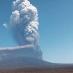 El cerebro tiene cinco edades y la adultez empieza a los 30