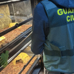 Cierran tres concurridas estaciones del Metro desde hoy hasta nuevo aviso