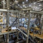 CROQUETÓN MUSICAL: XOCHIMILCO UNIRÁ MÚSICA Y SOLIDARIDAD PARA ALIMENTAR LA ESPERANZA DE MILES DE ANIMALES