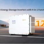 Descubre los beneficios de skin care perfecta con Concha Nácar Grisi