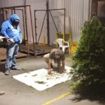 Publica DOF decreto por el que se declara el 1 de diciembre de cada año, como el «Día Nacional de las y los Alfareros»