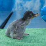 Ciberextorsión en hospitales: la nueva epidemia silenciosa que pone en jaque al sector salud. El arte de disfrutar con estilo y sentido.