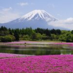 Mensaje de Rafael Marín Mollinedo de Año Nuevo