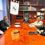 Deficiencia de hierro en el embarazo,un problema silencioso de salud pública