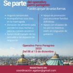 Pepsico® anuncia una histórica alianza global con el equipo Mercedes-AMG PETRONAS de Fórmula 1 para el 2026