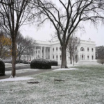 Cae presunto asesino del regidor de Reynosa, Tamaulipas en CDMX