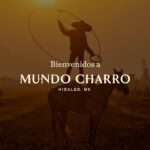 MUSSE DC celebra 25 años de vanguardia con gira nacional de la experiencia inmersiva «SORECER 360°» y presentaciones de “Sub Luce Maligna”