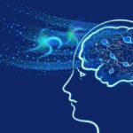 Sheinbaum resalta descubrimiento arqueológico de la Tumba 10 de Huitzo