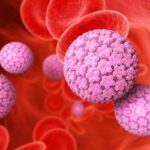 Envían militares de Suecia, Noruega y Dinamarca a Groenlandia para la preparación de maniobras en medio de amagos de Trump