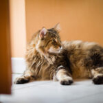 Premios Spoiler: Lista completa de ganadores de la primera edición