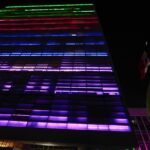 Si lo quieres y lo cuidas, es momento de hacerle un check up a tu mascota