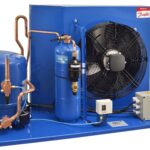 Petco alcanza 150 tiendas en México con la apertura de sucursal en Monterrey