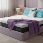 En la Cámara de Diputados se llevó a cabo el Parlamento Juvenil “Voces del futuro MX”