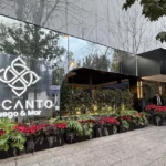 Electromovilidad en México: infraestructura inteligente para un transporte más limpio. El arte de disfrutar con estilo y sentido.