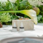 Tamaulipas consolida finanzas sanas y lidera crecimiento económico nacional