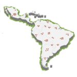 Sufren por votos verdes