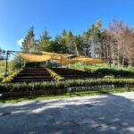 ¿Buscas un milagro peludo? Llega el Primer Adoptatón de «Perros Peregrinos» a la CDMX