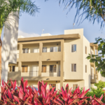 Sería tiro de gracia reforma Electoral al Verde y PT