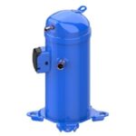 Ahora las mujeres son protagónicas en la política