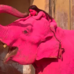 Zelenski condena ataque ruso y conversa con el Papa León XIV sobre la guerra