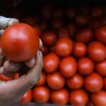 Sheinbaum defiende ley de inversión en infraestructura y descarta riesgos para las Afores