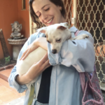 Los jóvenes deben ser protegidos del acoso cibernético