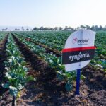 Premio Platino consolida la transformación digital de Montepío Luz Saviñón